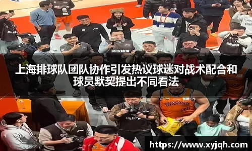 上海排球队团队协作引发热议球迷对战术配合和球员默契提出不同看法