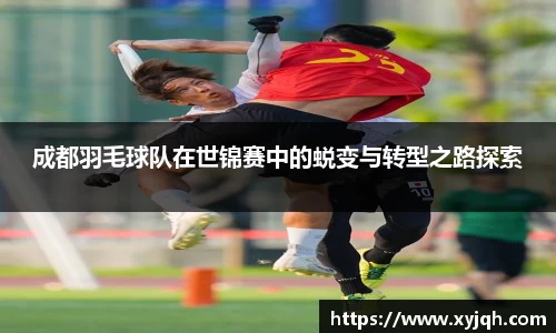 BV伟德官方网站